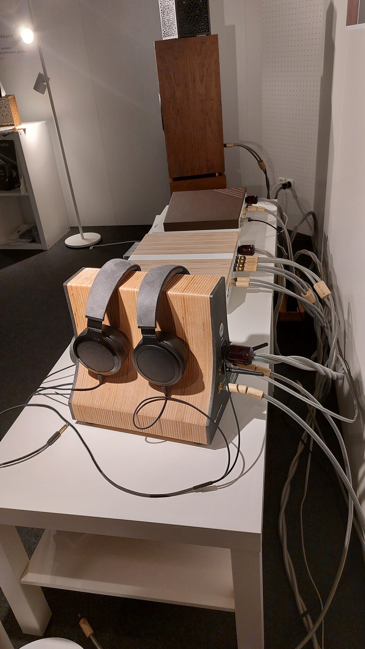 Installation d'écoute LIEDSON au salon